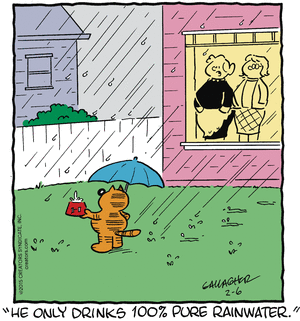 heathcliff